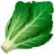 Ilustra&ccedil;&atilde;o de alface fresca