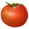 Ilustra&ccedil;&atilde;o de tomate selecionado